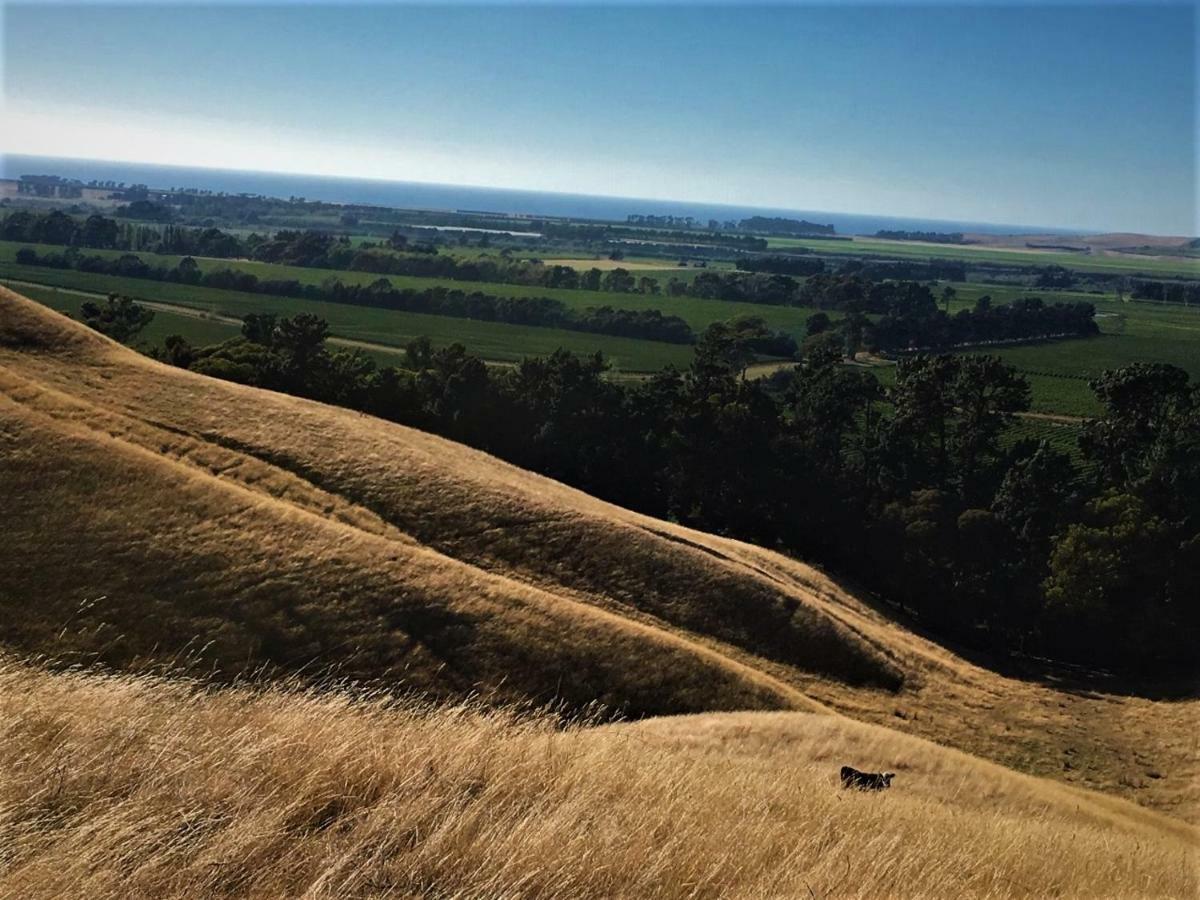Hill Top Retreat Lower Dashwood Eksteriør bilde